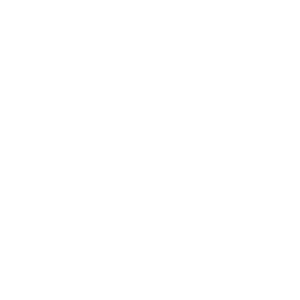 nst-logo